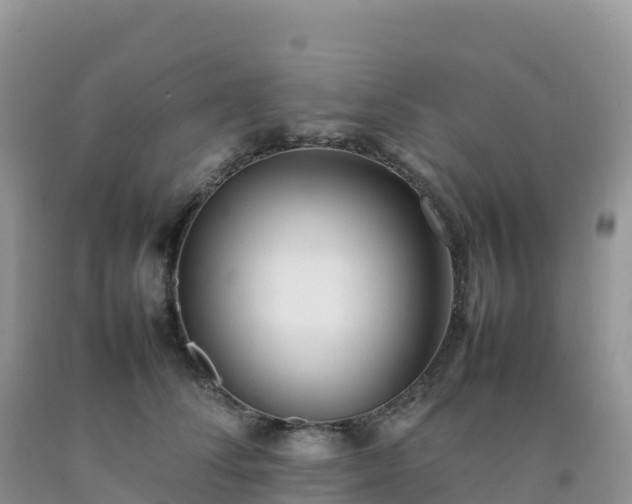 X0000092090708200709191246