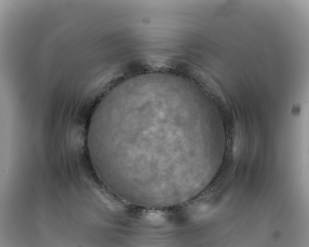 X0000092090710200709191246
