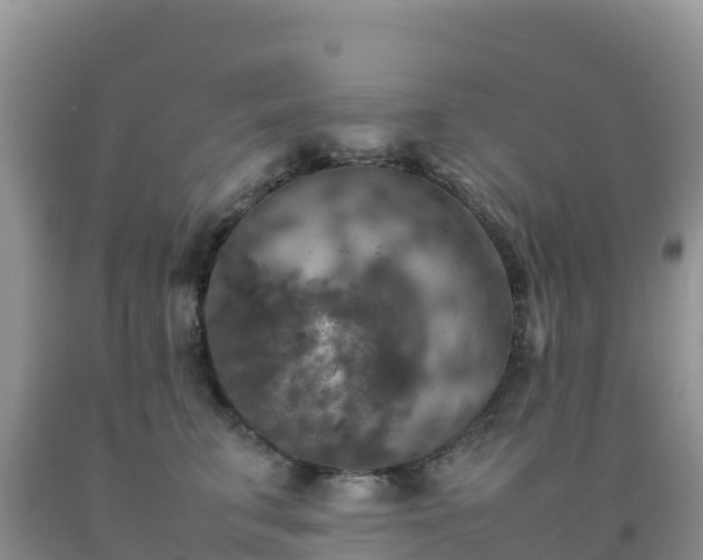 X0000092090711200709191245