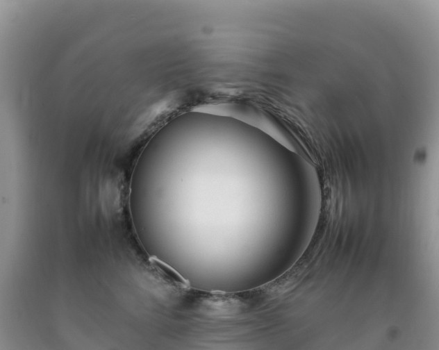 X0000092090712200709191245