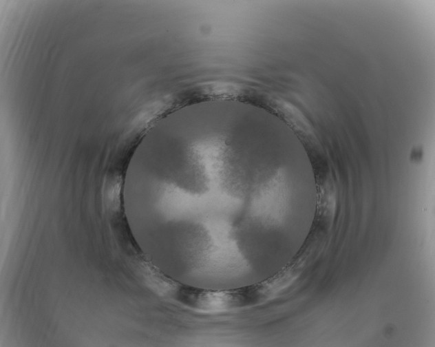 X0000092090717200709191245