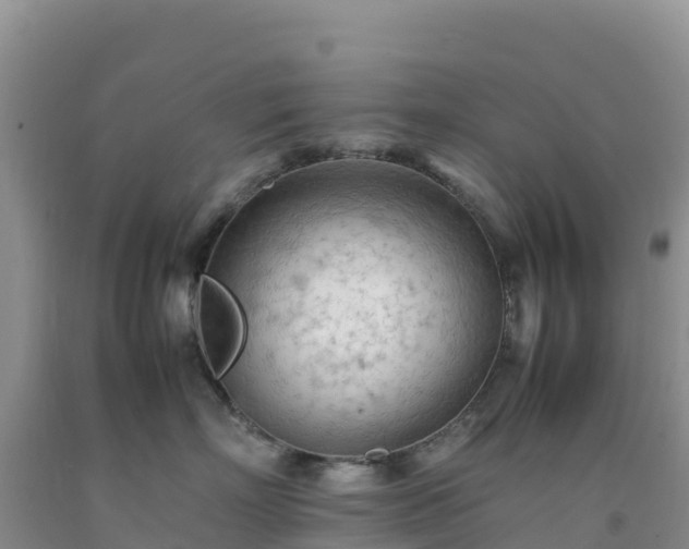 X0000092090718200709191245