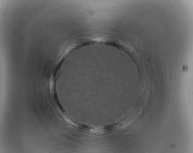 X0000092090720200709191245