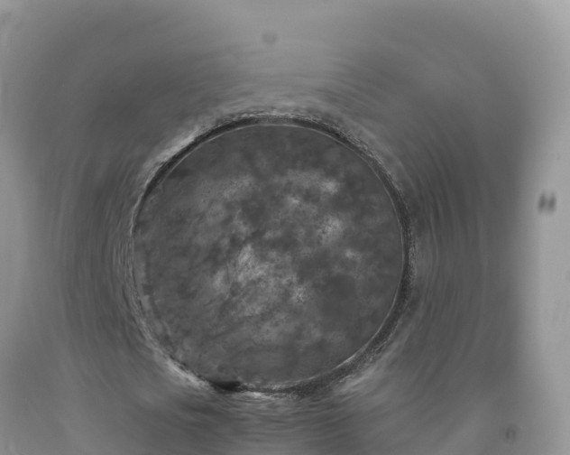 X0000092090721200709191245
