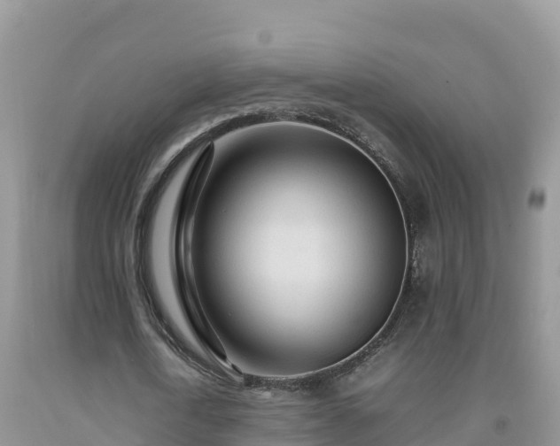 X0000092090722200709191245