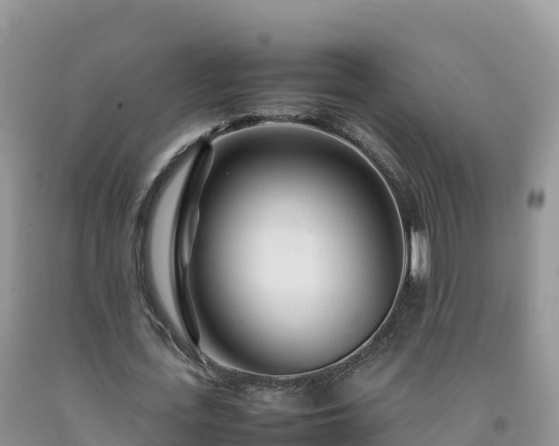 X0000092090723200709191245