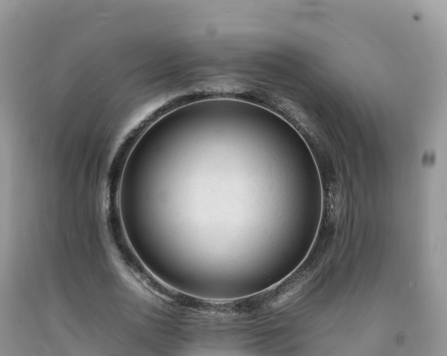 X0000092090726200709191245