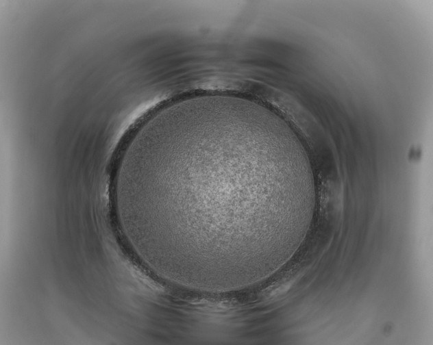 X0000092090727200709191245