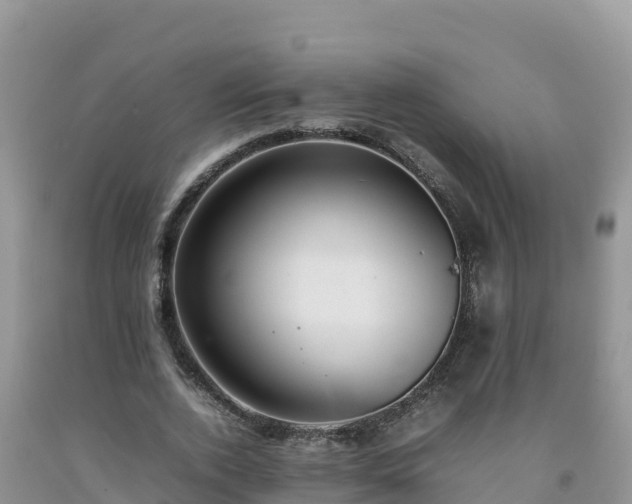 X0000092090728200709191245
