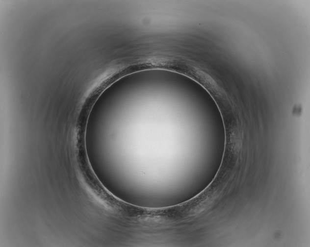 X0000092090730200709191245