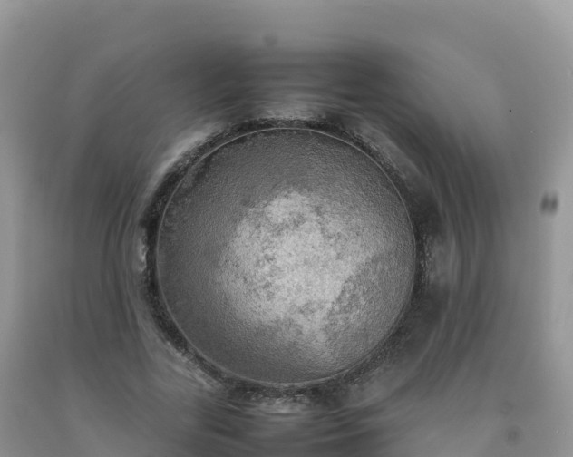 X0000092090731200709191245