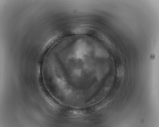X0000092090733200709191245