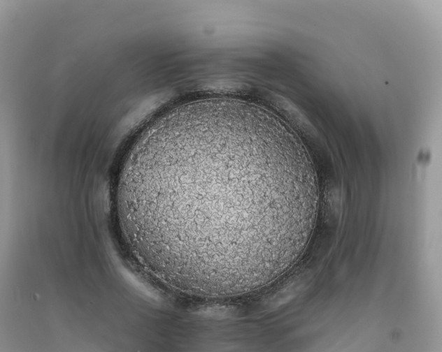 X0000092090734200709191245