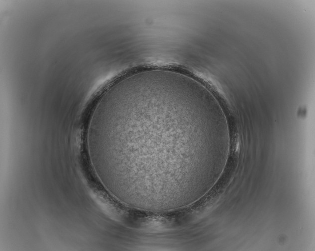 X0000092090736200709191245