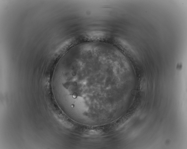 X0000092090737200709191245