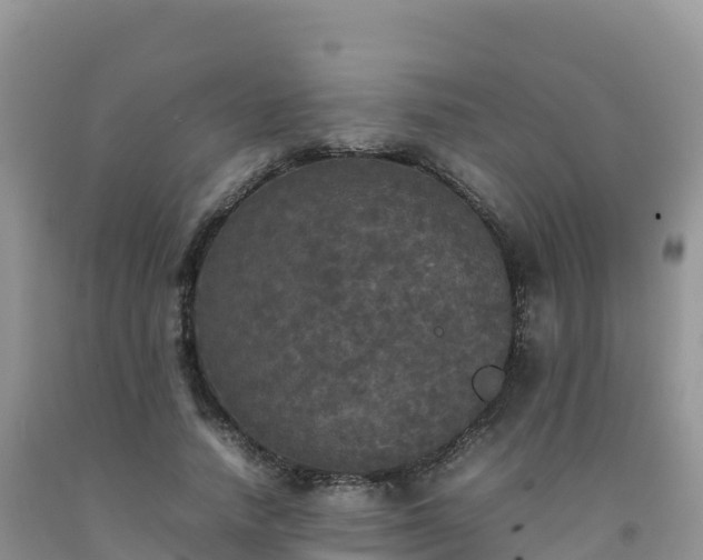 X0000092090738200709191245