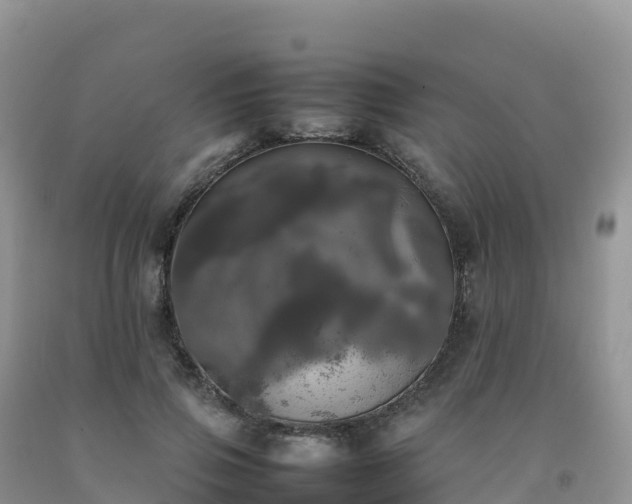 X0000092090741200709191245