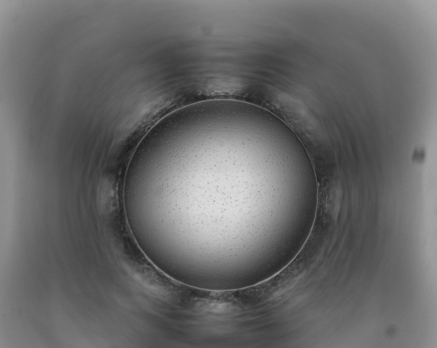 X0000092090743200709191245