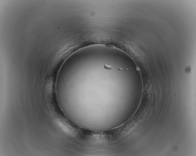 X0000092090744200709191245