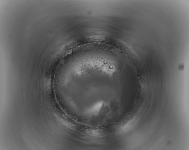 X0000092090745200709191245