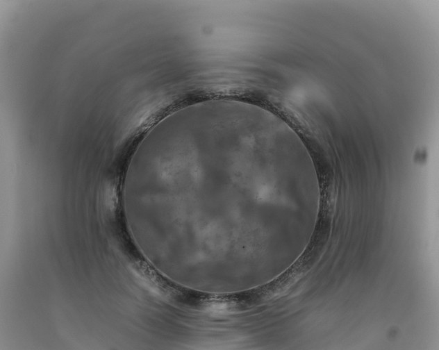 X0000092090746200709191245