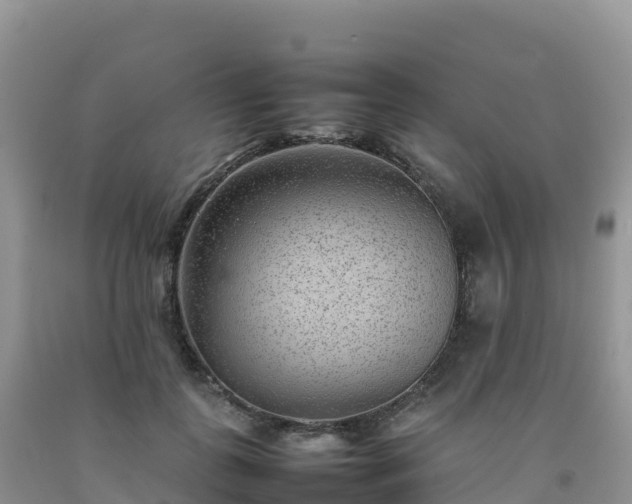 X0000092090747200709191245