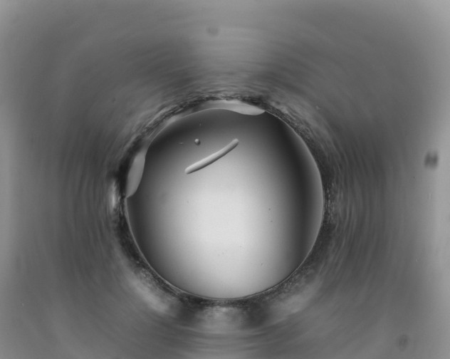 X0000092090748200709191245