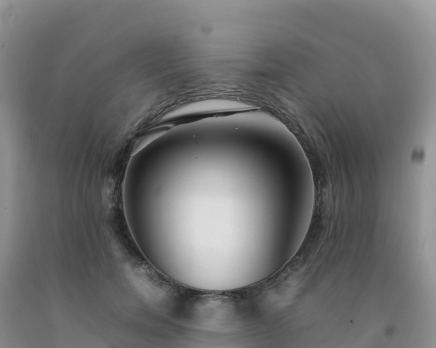 X0000092090750200709191245