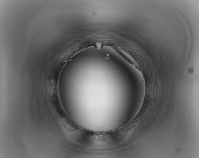 X0000092090752200709191245