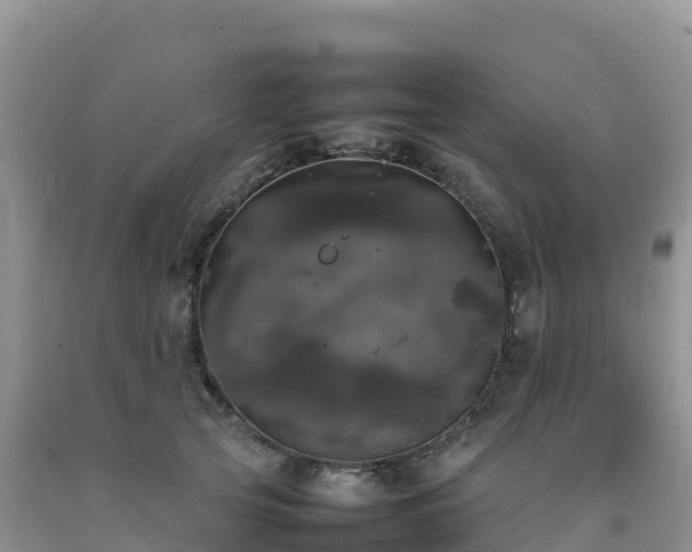 X0000092090753200709191245