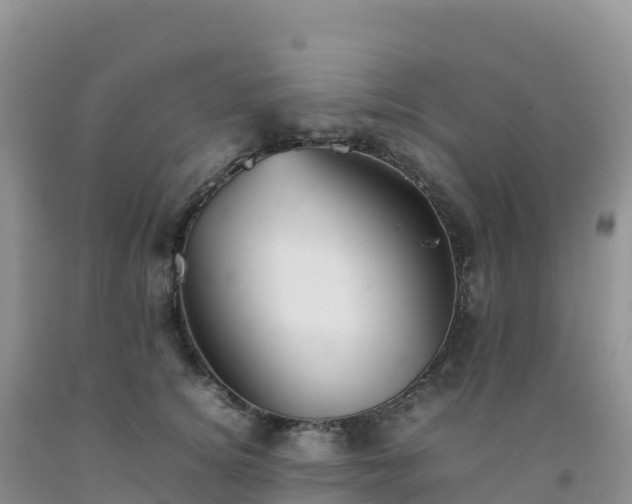 X0000092090756200709191245