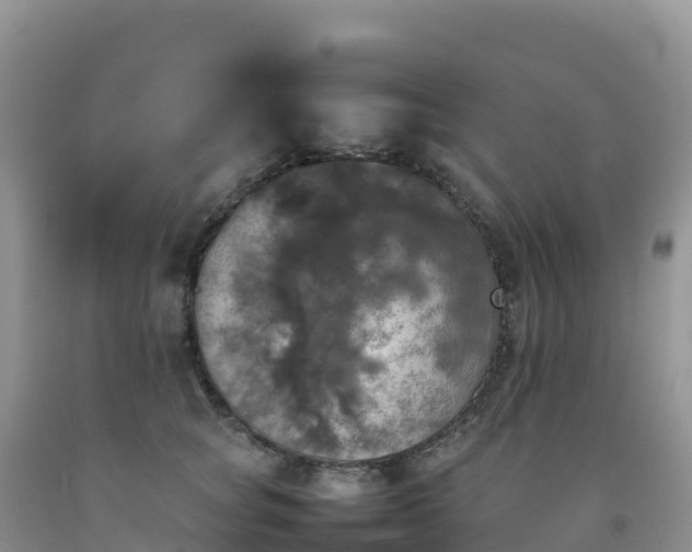 X0000092090757200709191245