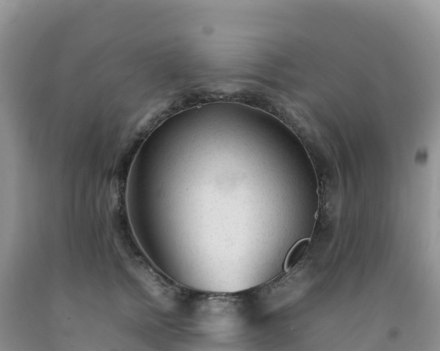 X0000092090758200709191245