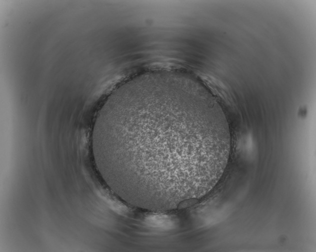 X0000092090759200709191245
