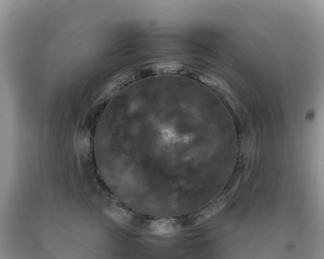 X0000092090761200709191245