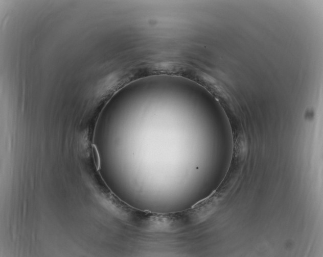 X0000092090764200709191245