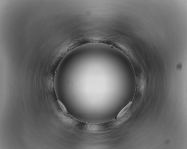 X0000092090766200709191245