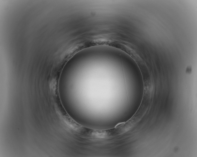 X0000092090767200709191245