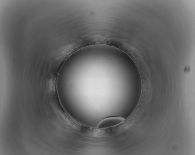 X0000092090768200709191245