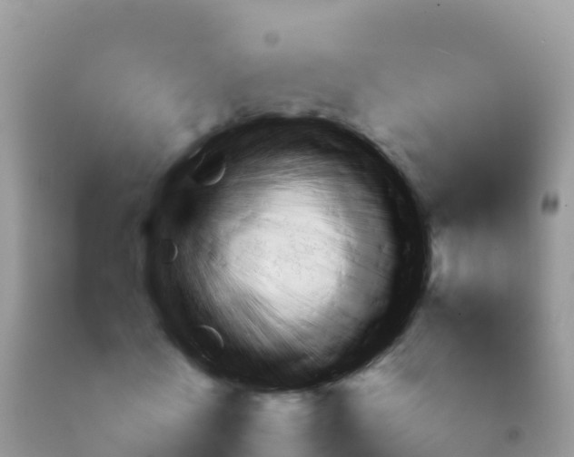 X0000092090770200709191245