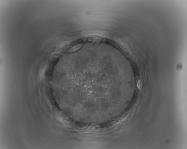 X0000092090771200709191245