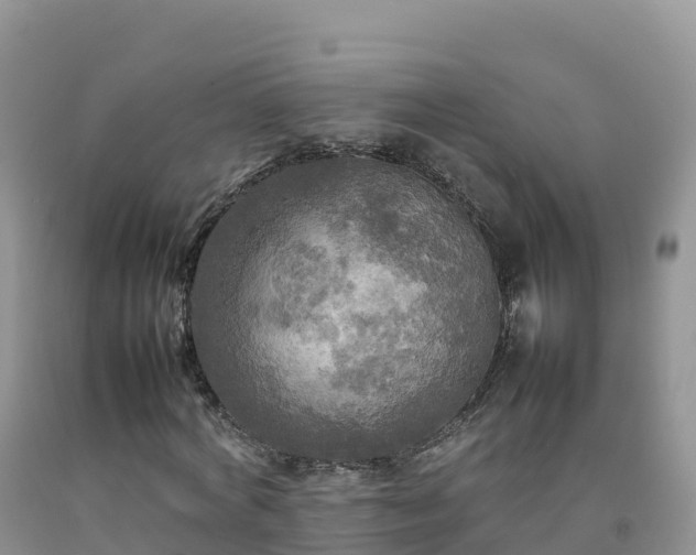 X0000092090772200709191245