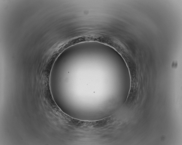 X0000092090773200709191245