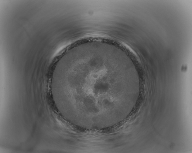 X0000092090775200709191245