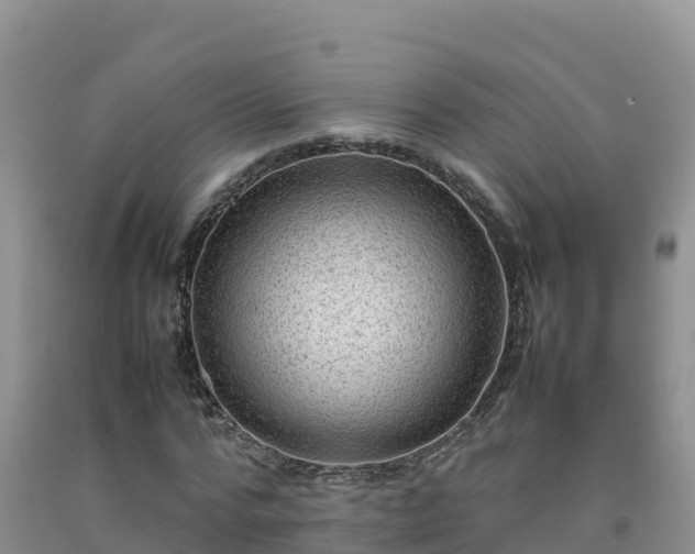 X0000092090776200709191245