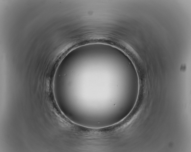 X0000092090777200709191245
