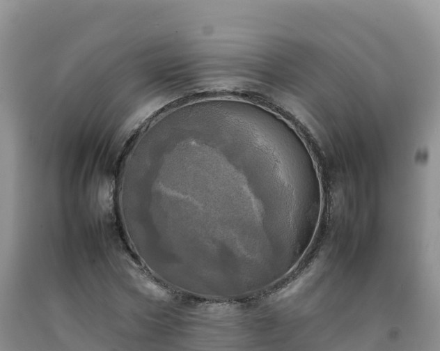 X0000092090778200709191245