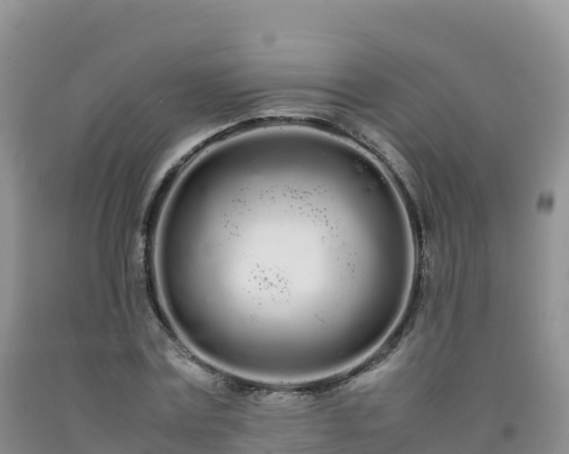 X0000092090779200709191245