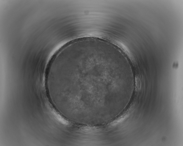 X0000092090780200709191245