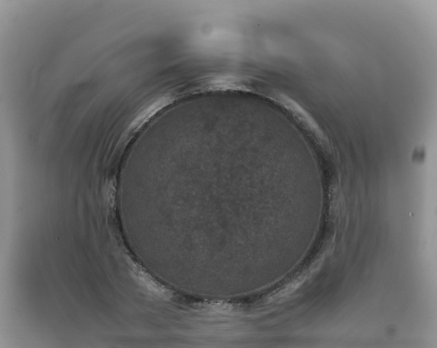 X0000092090785200709191245